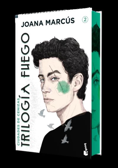 CIUDADES DE CENIZAS. EDICION ESPECIAL CON CANTOS DECORADOS