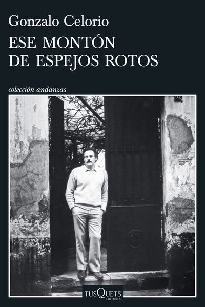 ESE MONTON DE ESPEJOS ROTOS