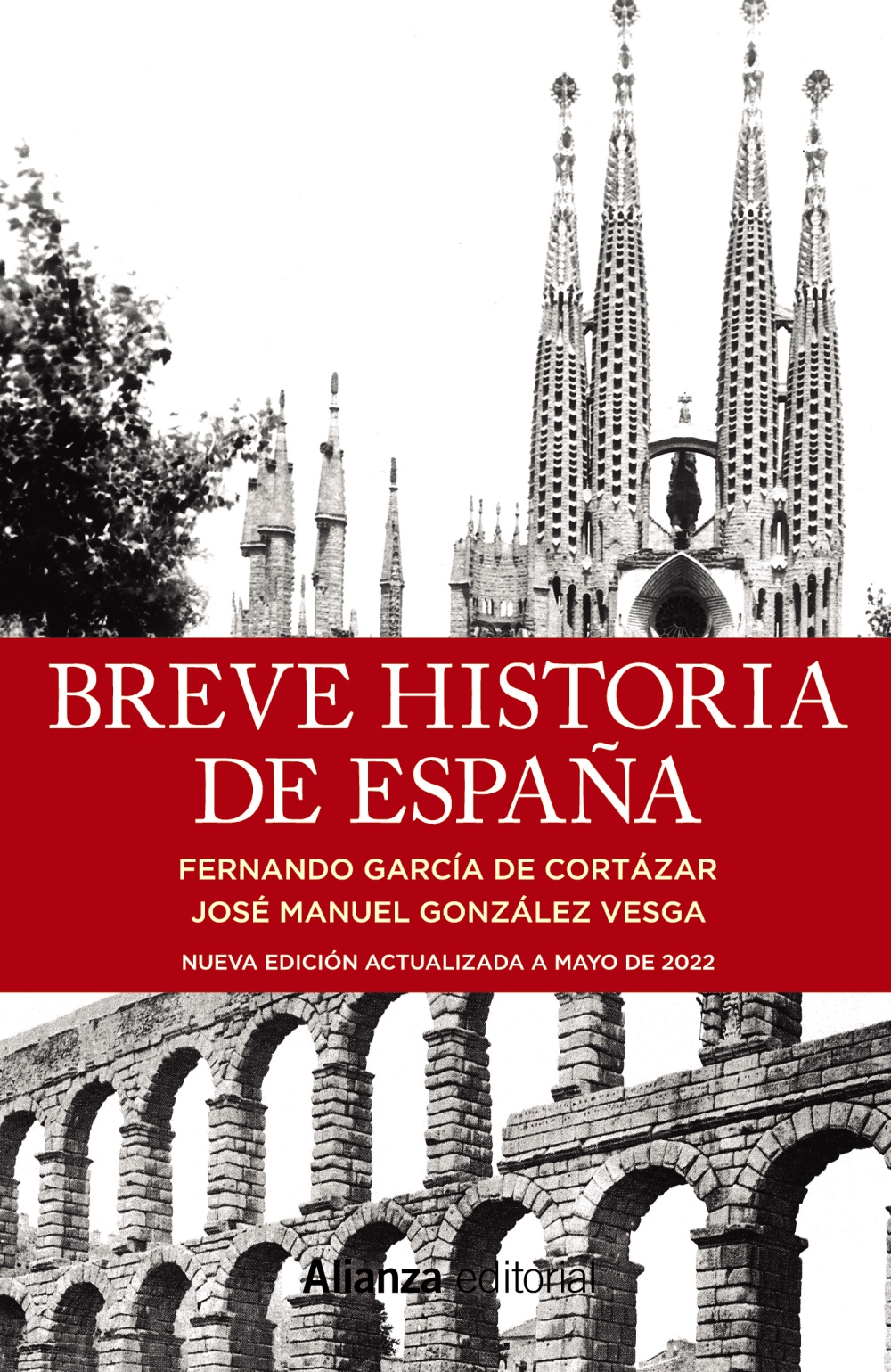 BREVE HISTORIA DE ESPAÑA. 9788411480567