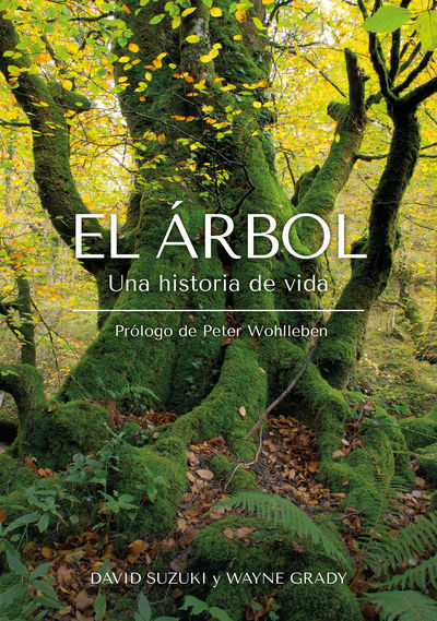 EL ÁRBOL. 9788412618471