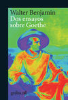 DOS ENSAYOS SOBRE GOETHE. 9788417341770