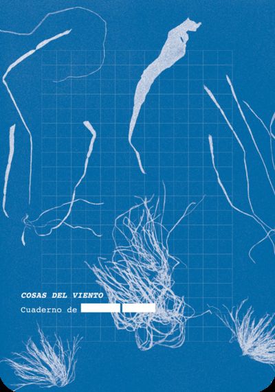COSAS DEL VIENTO