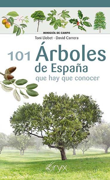 101 ÁRBOLES DE ESPAÑA. 9788418735097