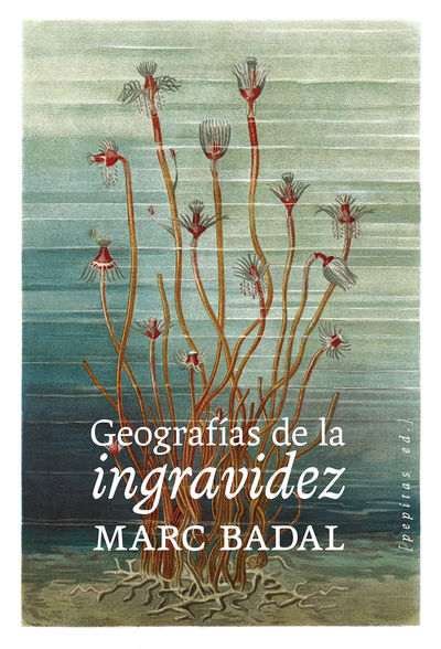 GEOGRAFIAS DE LA INGRAVIDEZ. 9788418998669