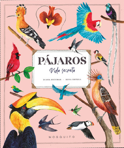 PÁJAROS. VIDA SECRETA. 9788419095527