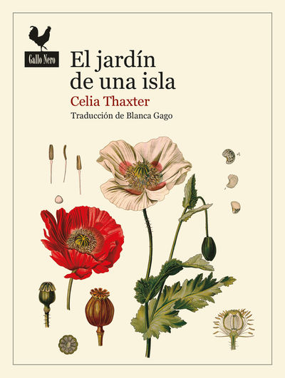 EL JARDÍN DE UNA ISLA. 9788419168139