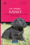 ANIMALES DE COMPAÑÍA: UN PERRO SANO