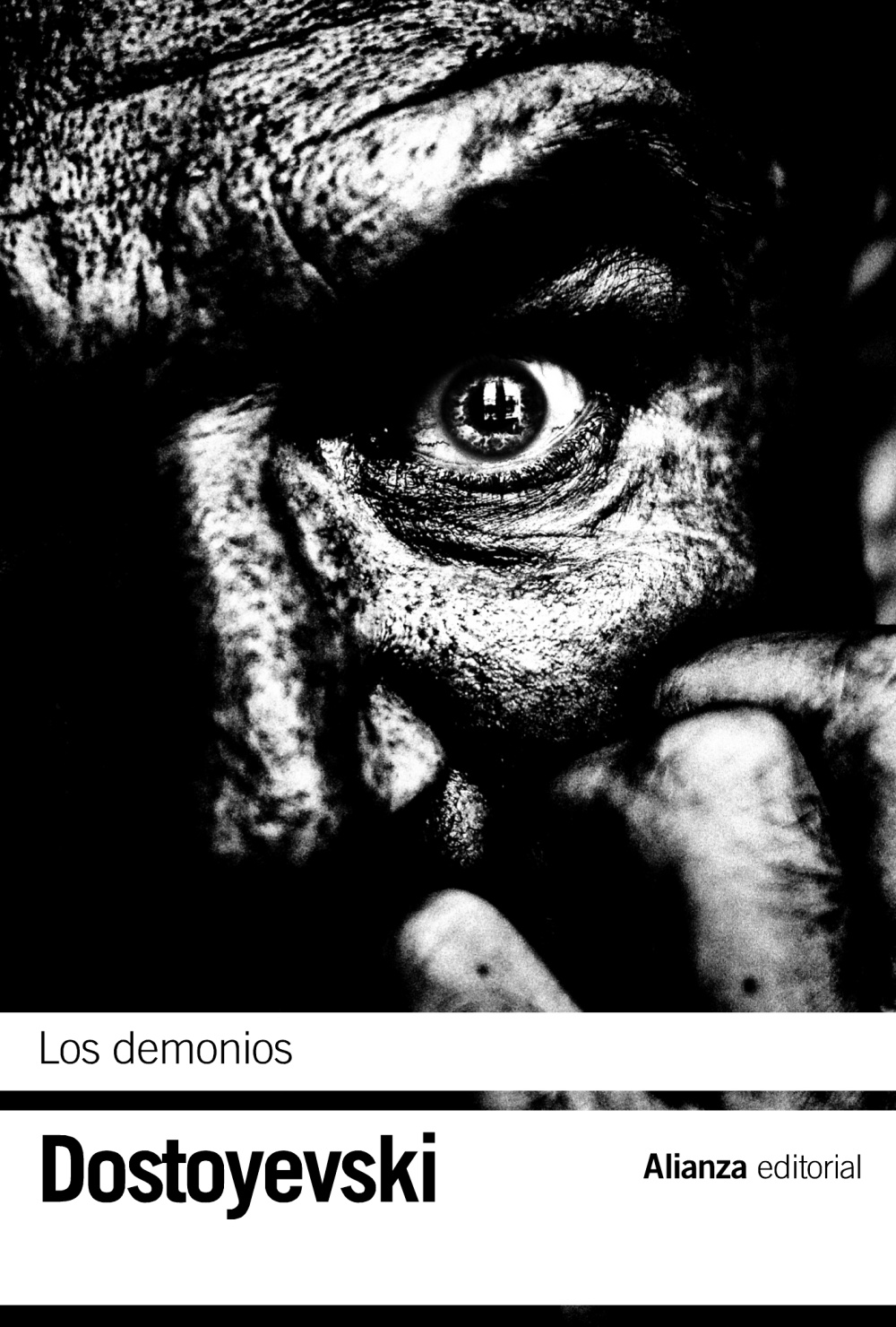 LOS DEMONIOS. 9788420664453