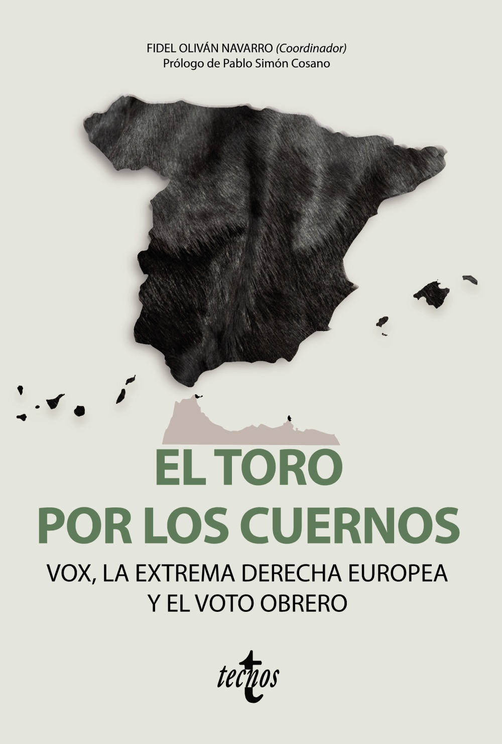 EL TORO POR LOS CUERNOS: VOX LA EXTREMA DERECHA EUROPEA Y EL VOTO OBRERO. 9788430981212