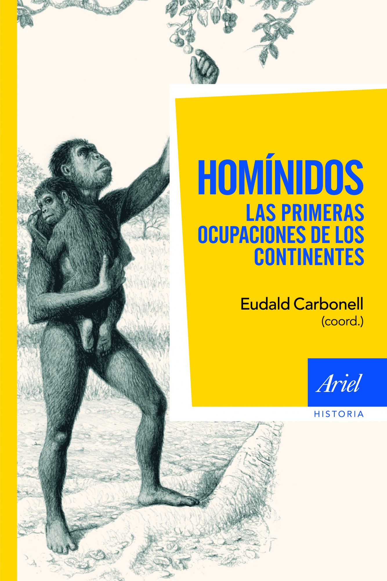 HOMÍNIDOS, LAS PRIMERAS OCUPACIONES DE LOS CONTINENTES. 9788434413344