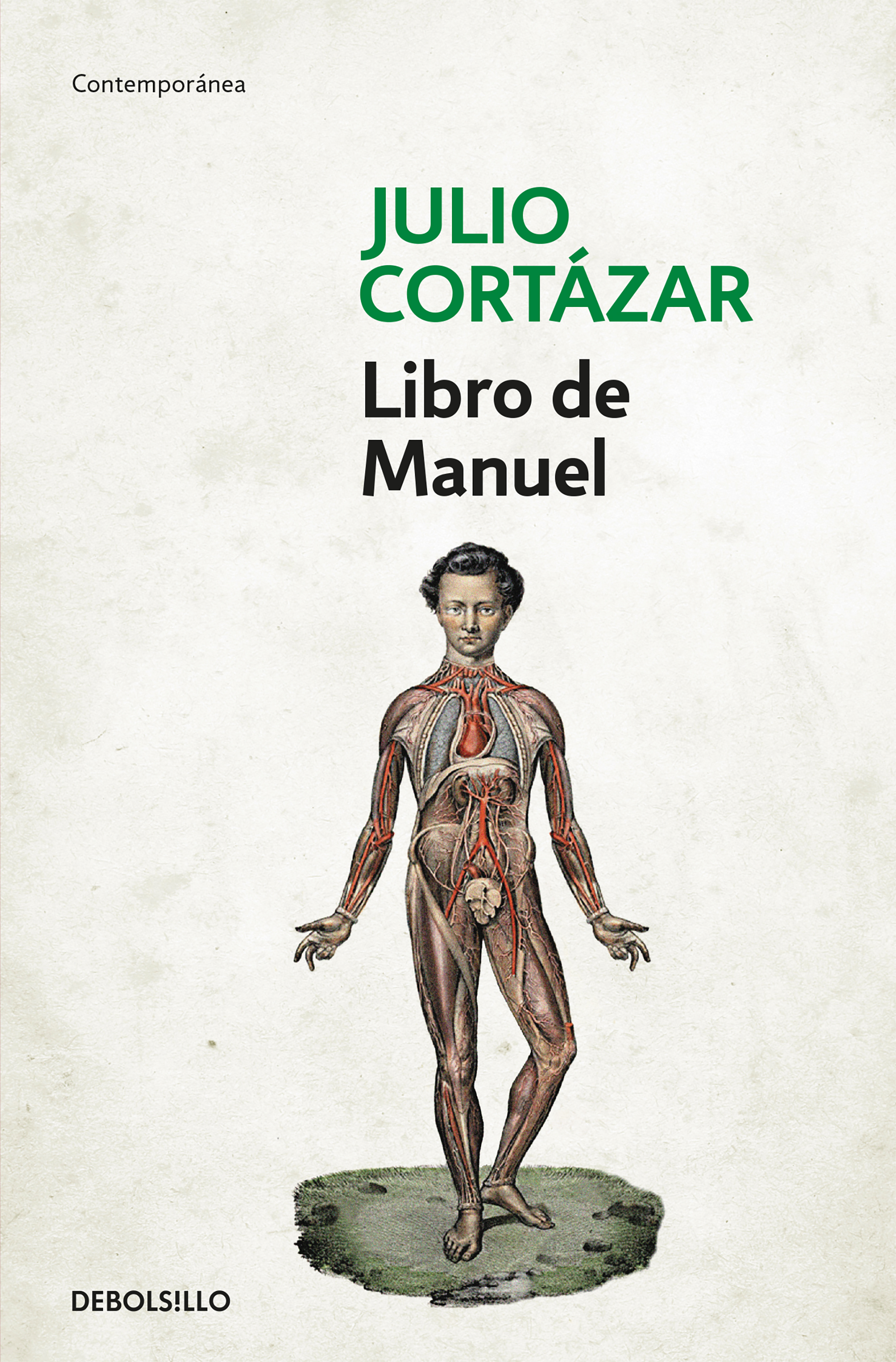 LIBRO DE MANUEL. 9788466329385