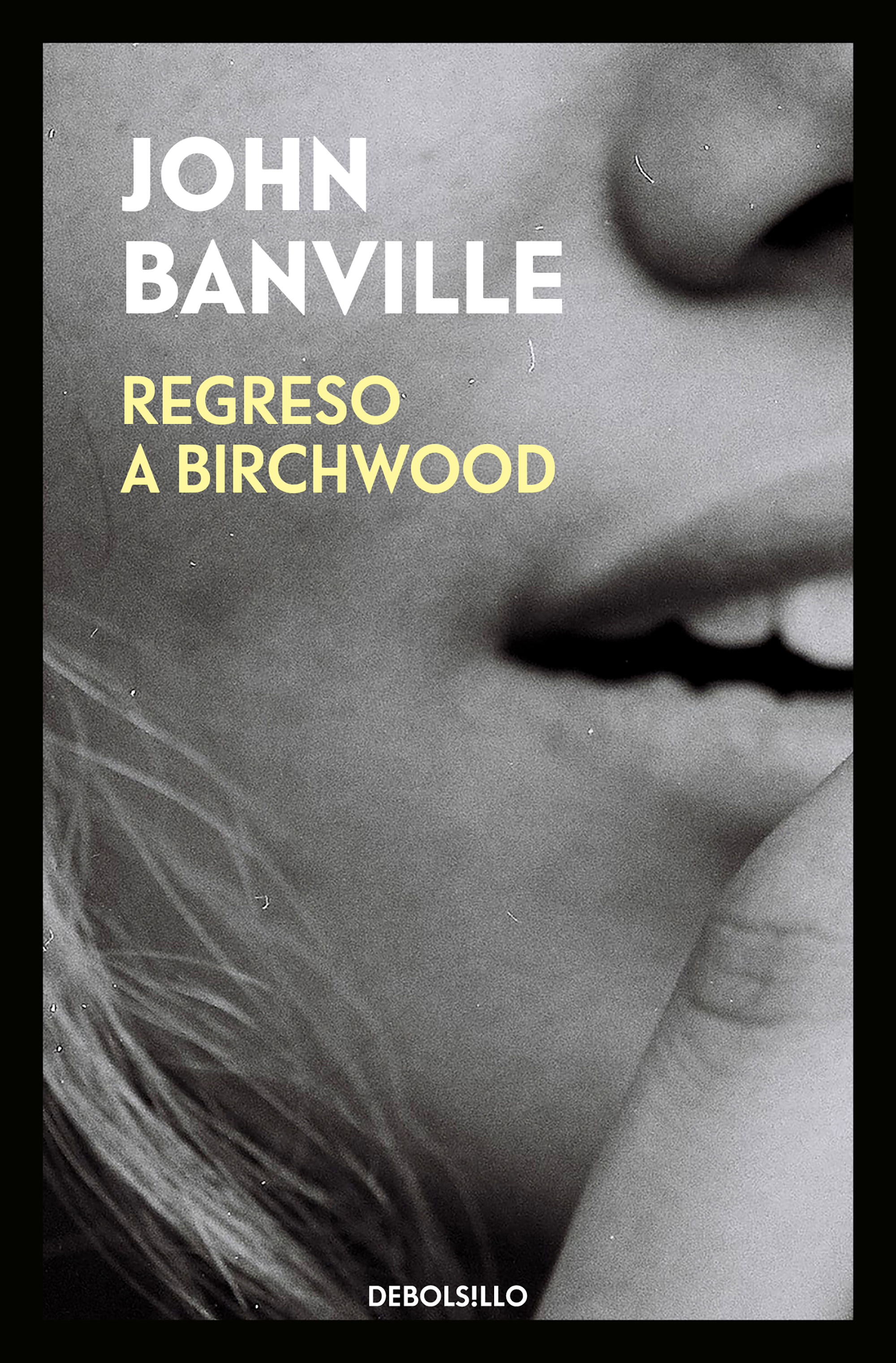 REGRESO A BIRCHWOOD. 9788466344531