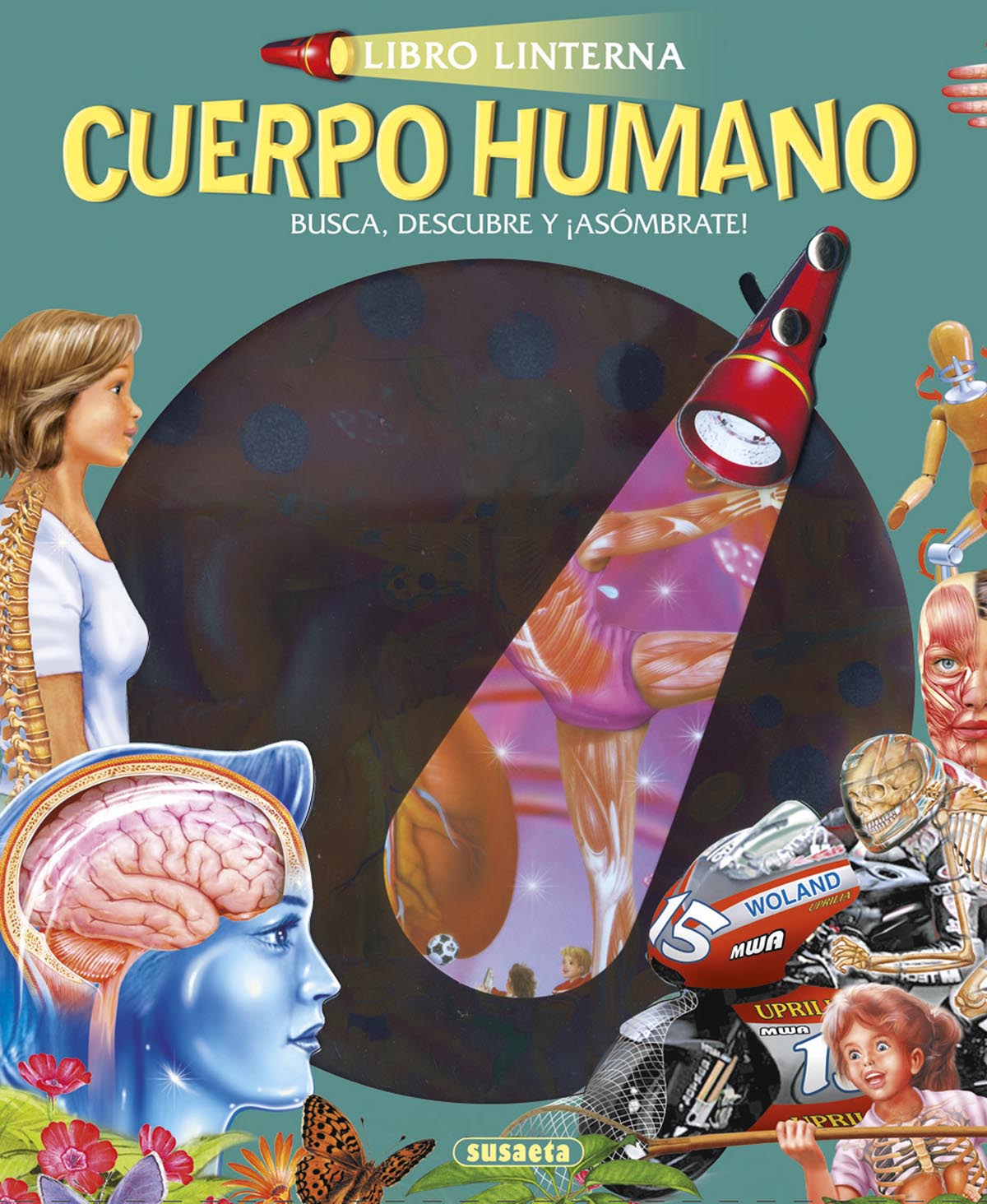 CUERPO HUMANO