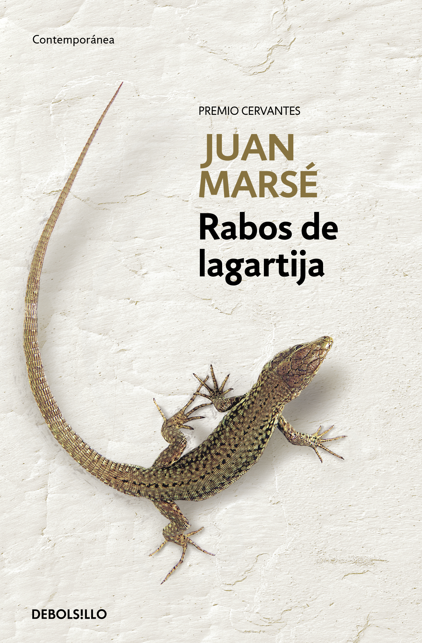 RABOS DE LAGARTIJA