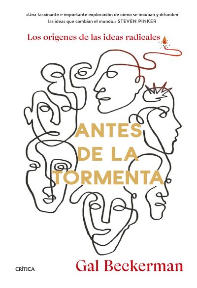 ANTES DE LA TORMENTA. 9788491994763