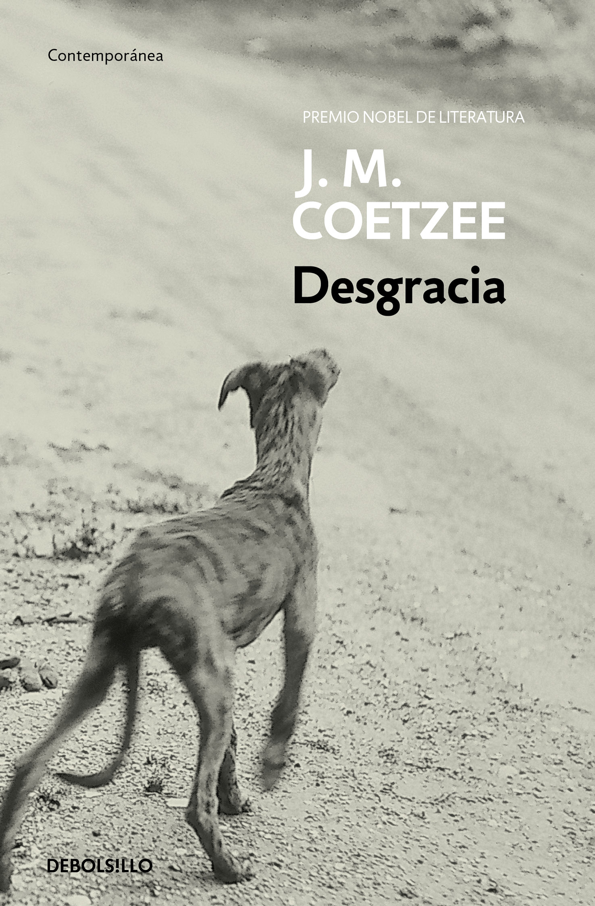 (2003) DESGRACIA