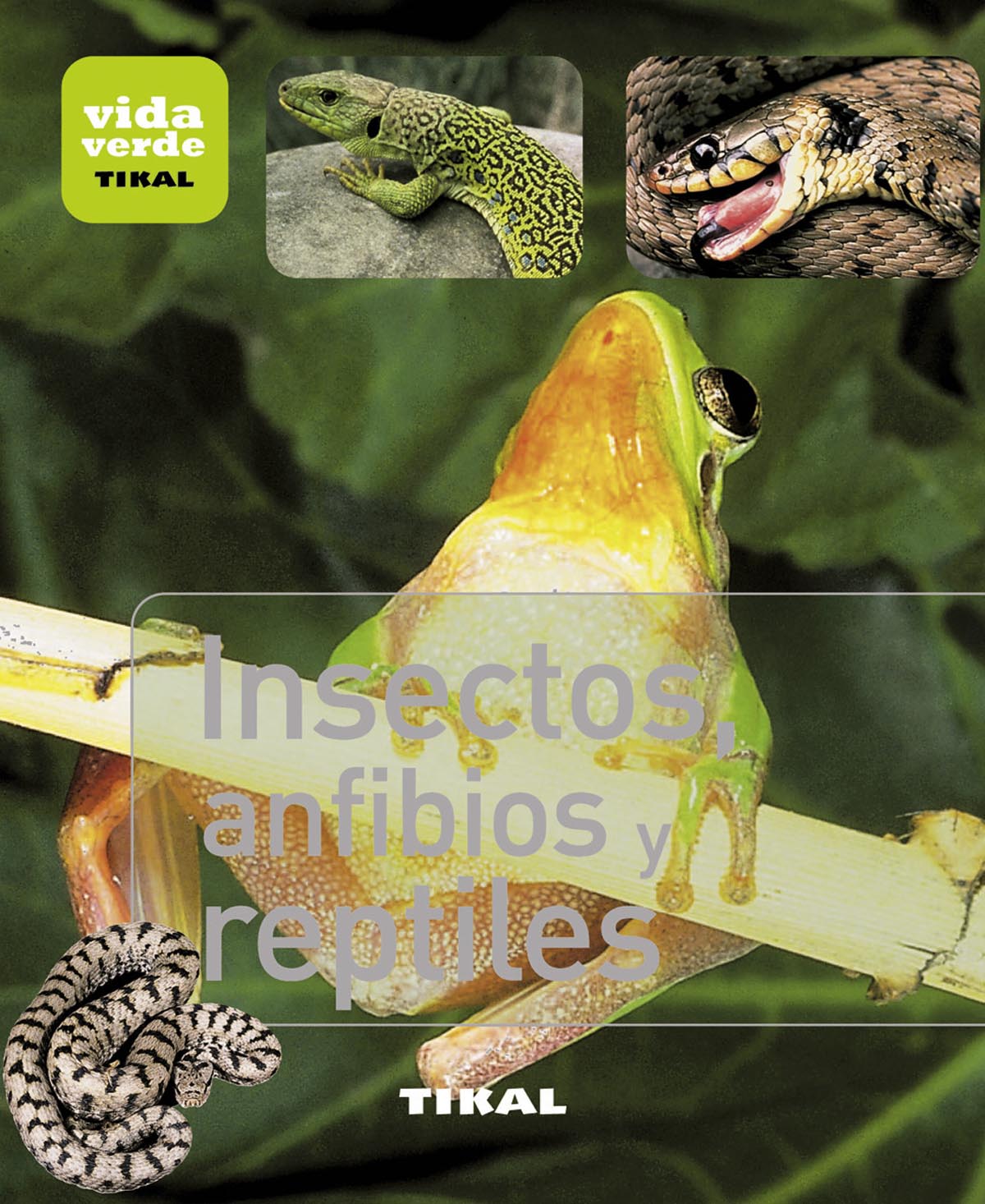 INSECTOS, ANFIBIOS Y REPTILES. 9788499281377