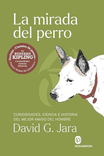 LA MIRADA DEL PERRO